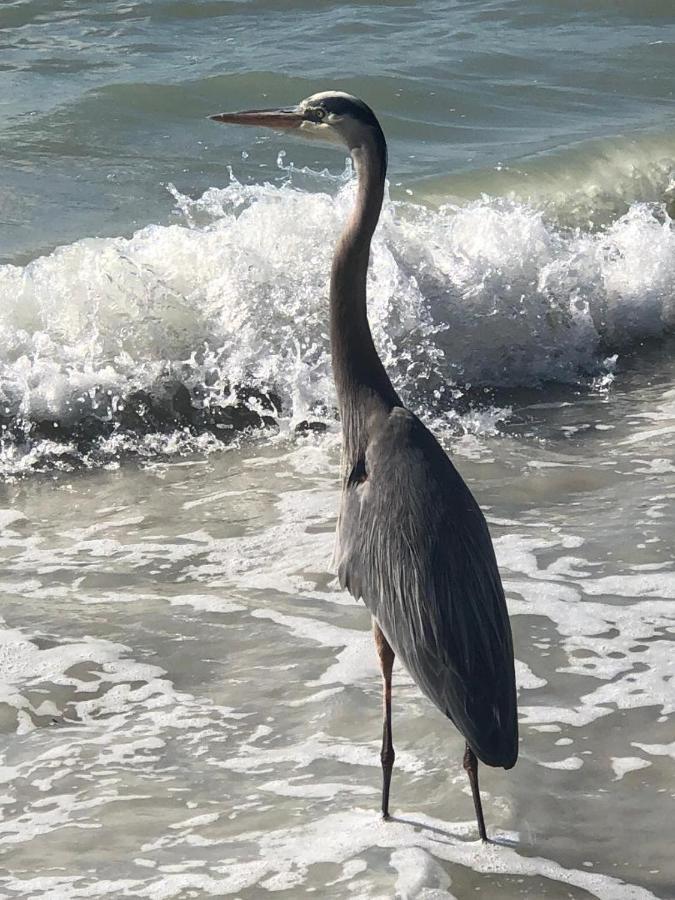 Welcome To The Paradise Fort Myers Beach Luaran gambar